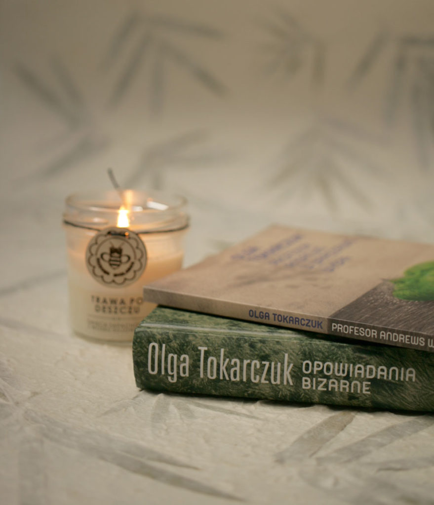 Opowiadania bizarne Profesor Andrews w Warszawie Wyspa Olga Tokarczuk